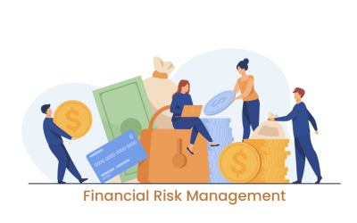 A Growing Business’s Guide to Finance Risk Management When Taking Loans